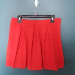 Pleated Skater Skirt NWOT
